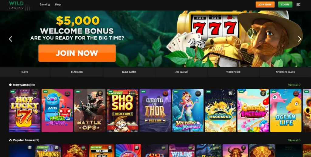 The Ultimate Payday- the World of the Best Online Casinos That Payout