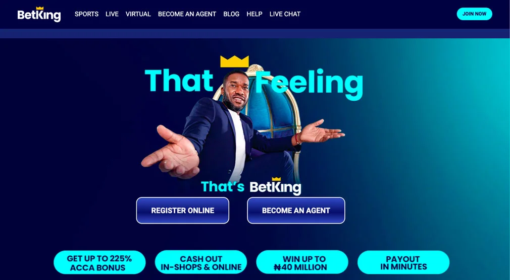 Everything You Need to Know about Betking