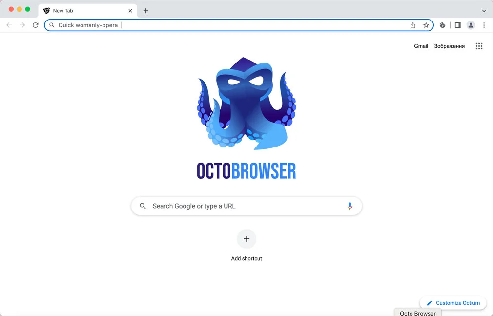 Octo Browser Review: Main Features and Tools