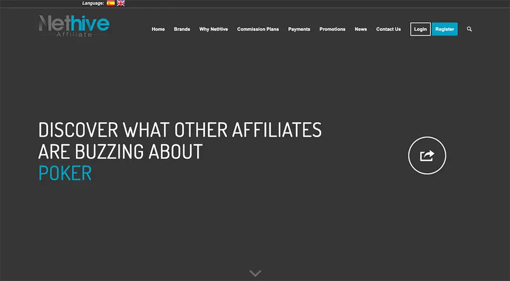 NetHive Affiliate Review: Pros and Cons