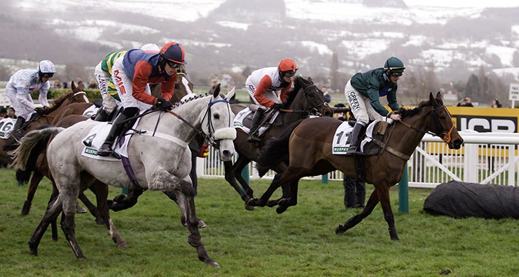 Cheltenham Festival Predictions