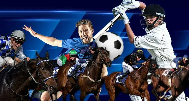 The 3 Best Sports for Newbie Sports Bettors