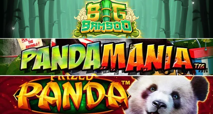 Panda Slot Machines: Top-3 Most Popular Options