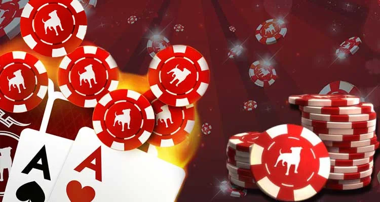 Why Zynga Poker Is a Good Example of a Successful Casino Product