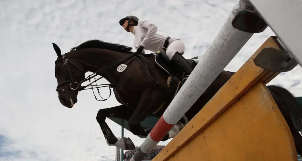 The History of Horse Racing Betting