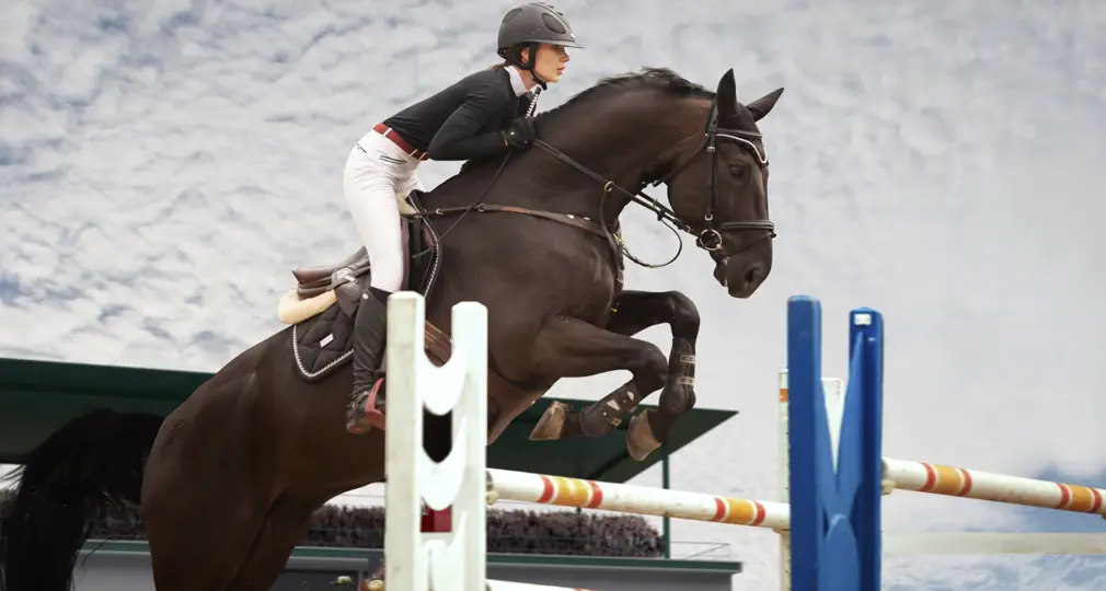 Horse Racing and Totalizators in 2025: A Global Revival of Tradition and Technology