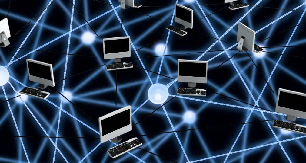 Everything You Need to Know About Working with PBN Networks
