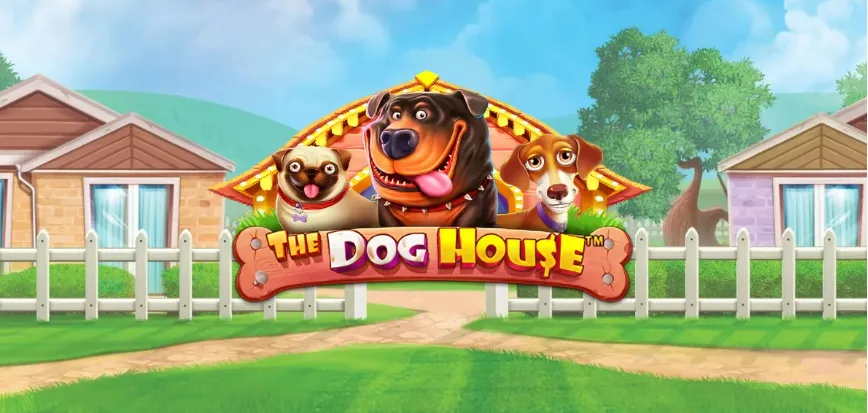 The Dog House Slot Strategy Guide: Volatility, RTP, and Bankroll Management for High Rollers