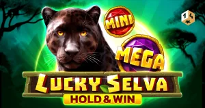 1spin4win